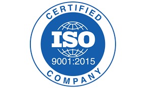 Startup India Recognition